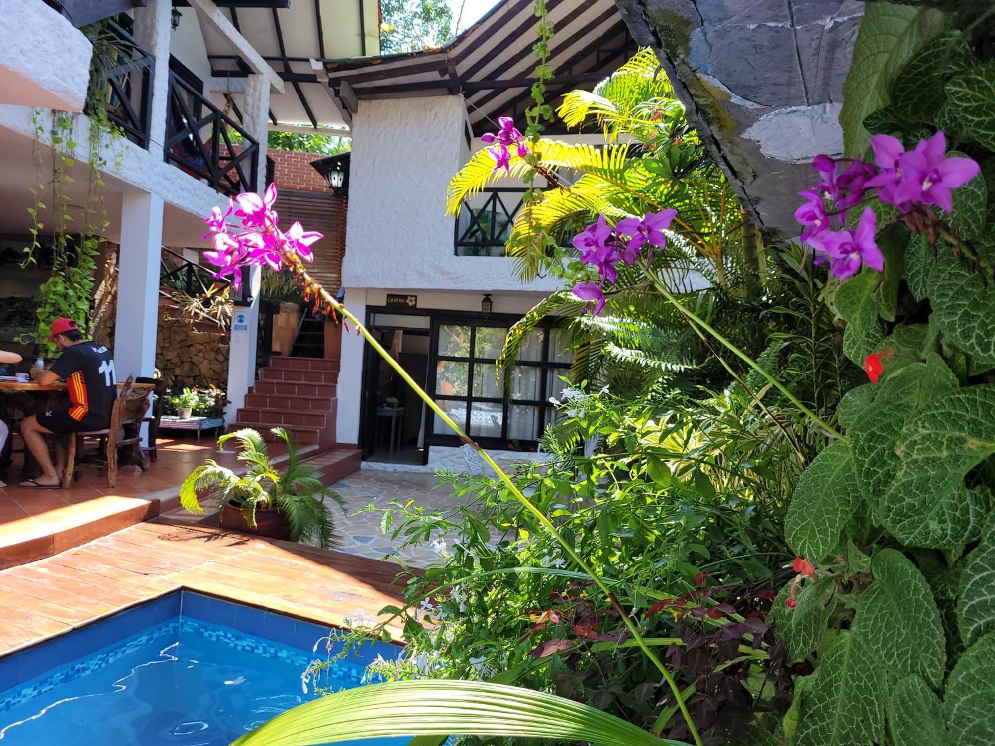 Hostal Antawara Tayrona Zaino Eksteriør billede