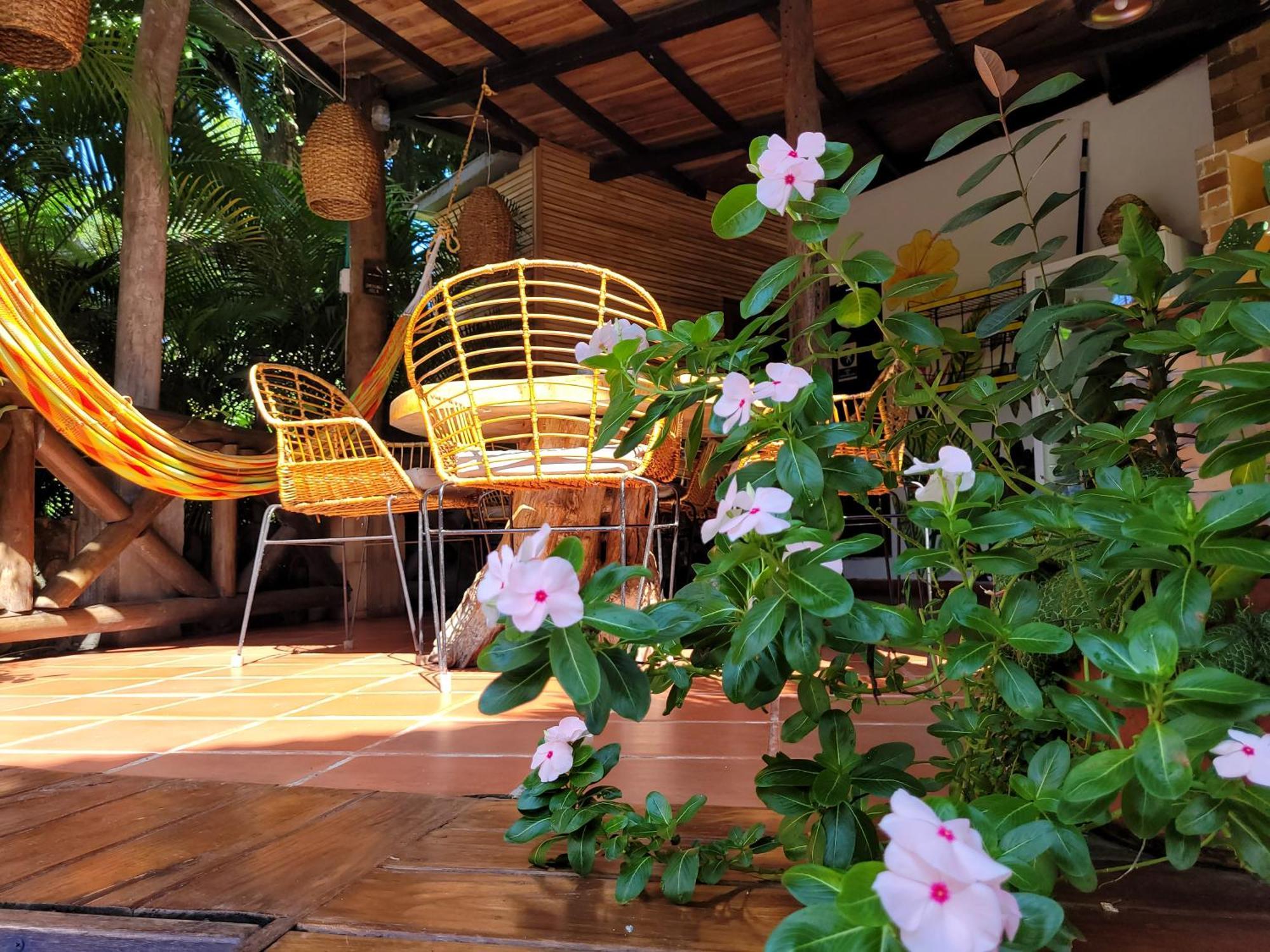 Hostal Antawara Tayrona Zaino Eksteriør billede